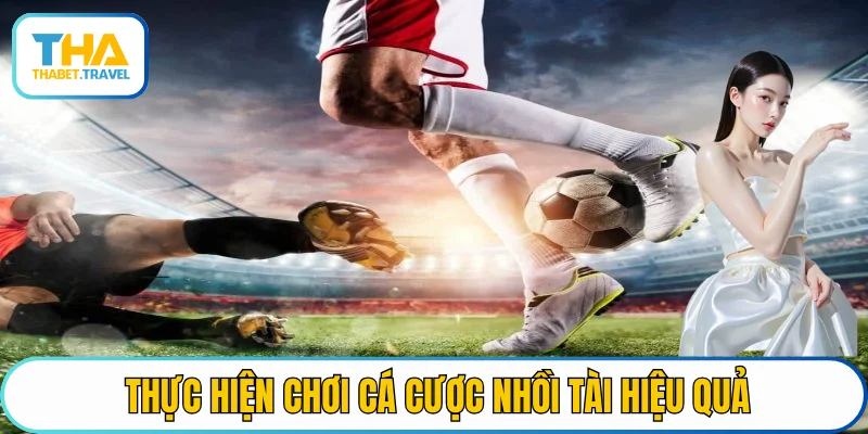 Thực hiện chơi cá cược nhồi tài hiệu quả
