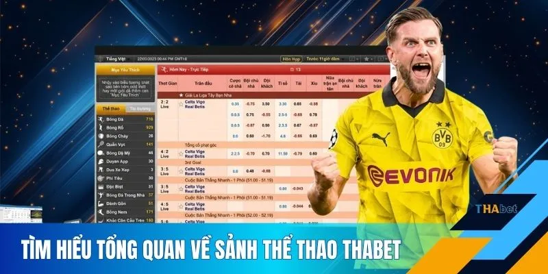 Tìm hiểu tổng quan về sảnh thể thao THABET